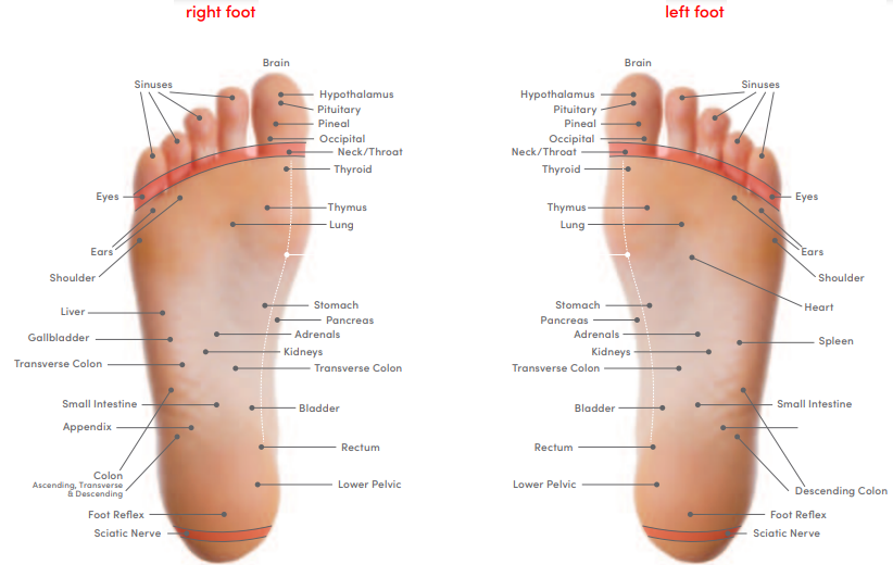 Med-Massager-Mmf07-Body-And-Foot-Massager-fig-12